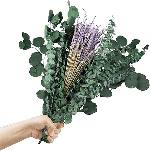 Miniatura 9 de Paquete de 12 tallos de eucalipto secos y flores de lavanda para ducha, hojas de eucalipto secas naturales de 17 pulgadas, ramas, tallos verdes y