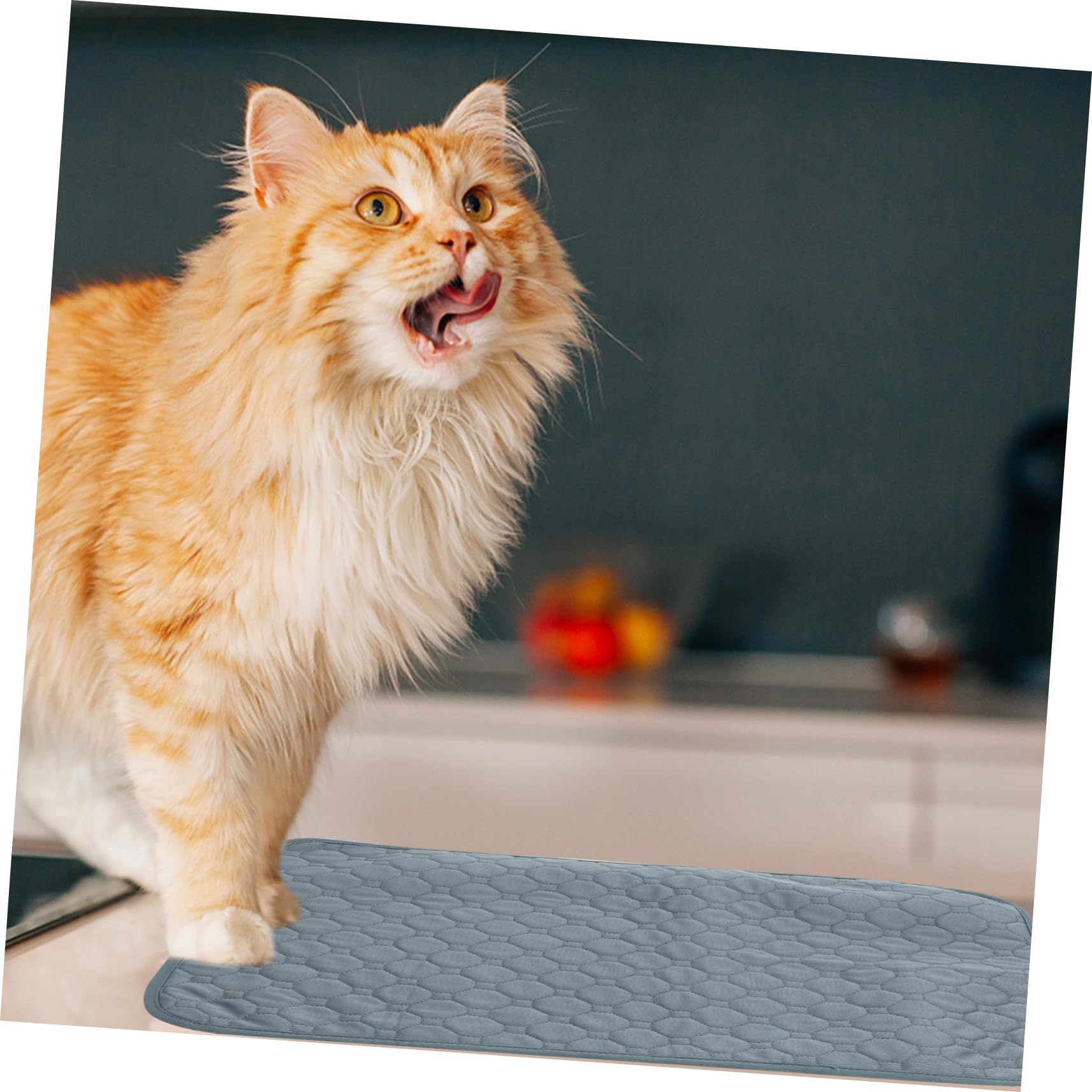 BESPORTBLE Summer Cooling Mat for Pets Slip Washable Dog Urine Pad Durable Pet Cushion for Dogs Indoor Use Water Absorbent Pet Supplies S