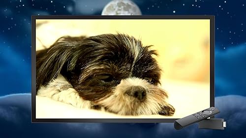 Música calmante para gatos-relaxamento, sono profundo, alívio do estresse para Tv e Tablets