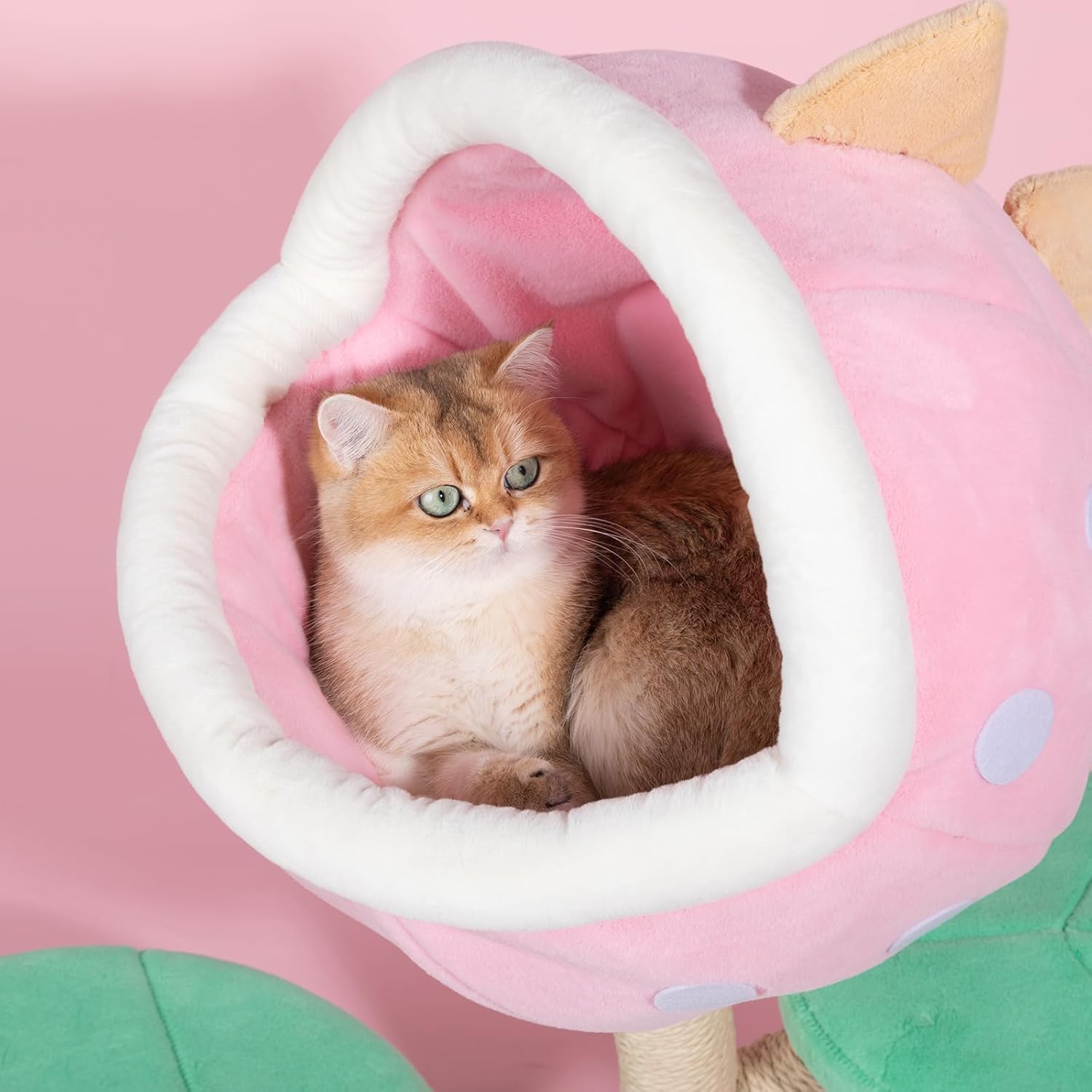 review Happy&Polly Piranha Flower Cat Tree - 31.5 inch Monster World Cat Tree with Cozy Carnivore Cove, Multiple Platform and Sisal-Wrapped Trunk