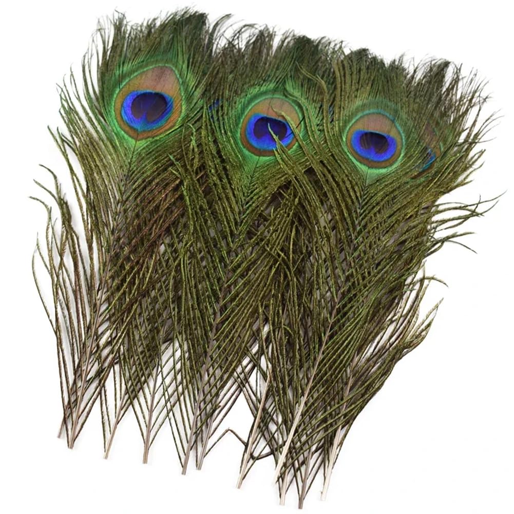 Naturalne pióra bażanta, Craft Pawie pióra wielokolorowe 25-30 cm, opakowanie 20 sztuk(Peacock Eyes)