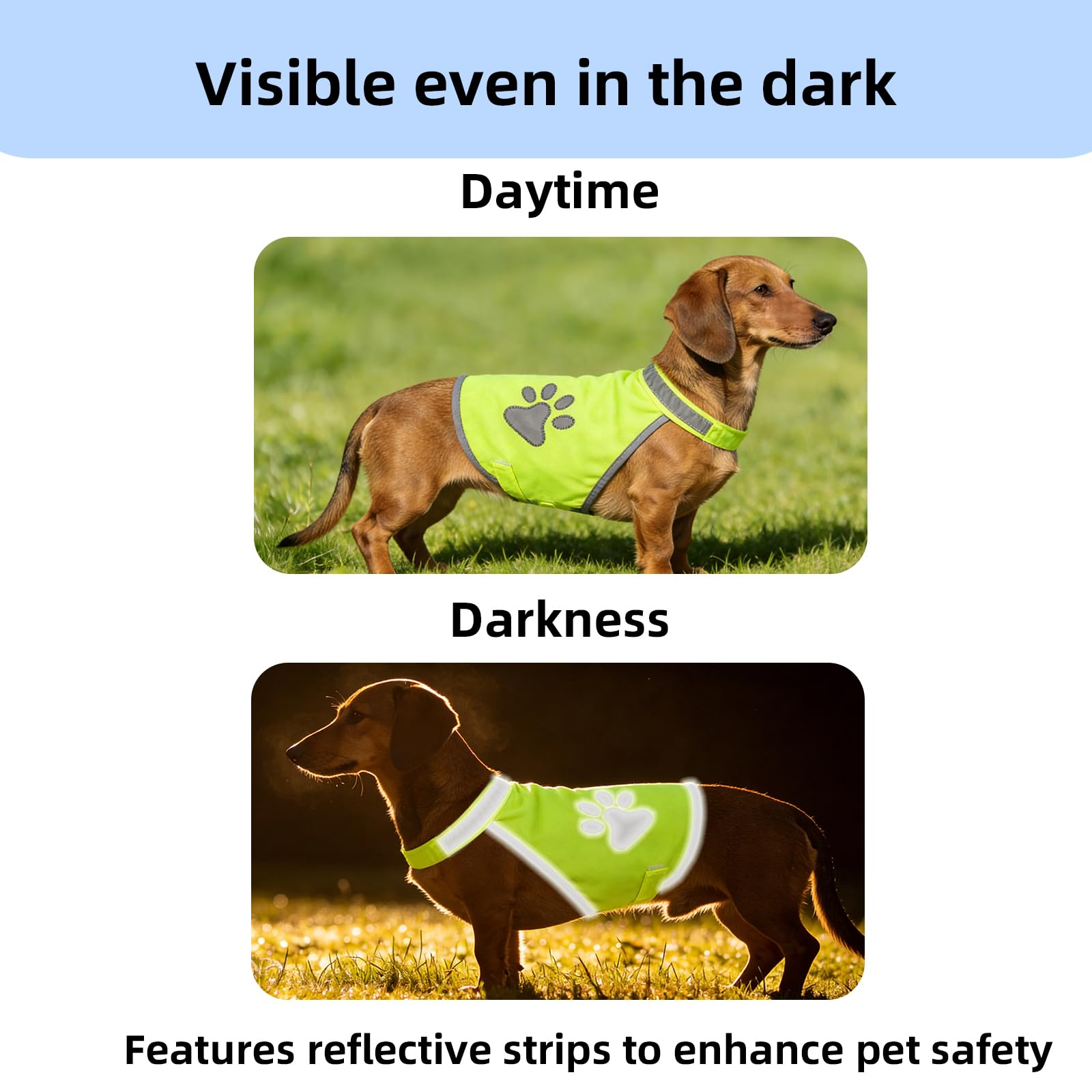 2 Pezzi Gilet di Sicurezza Riflettente per Cani, Gilet Riflettente per Cani Giubbotto alta Visibilità Giallo Fluorescente, Cinghie Regolabili e Giacche Sicure, Cappotto Protettivo Sicuro (M)