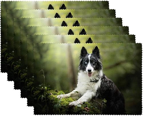 Placemats, Durable Placemats for Dining Table,Washable Kitchen Placemats, Dog Animal Border Collie