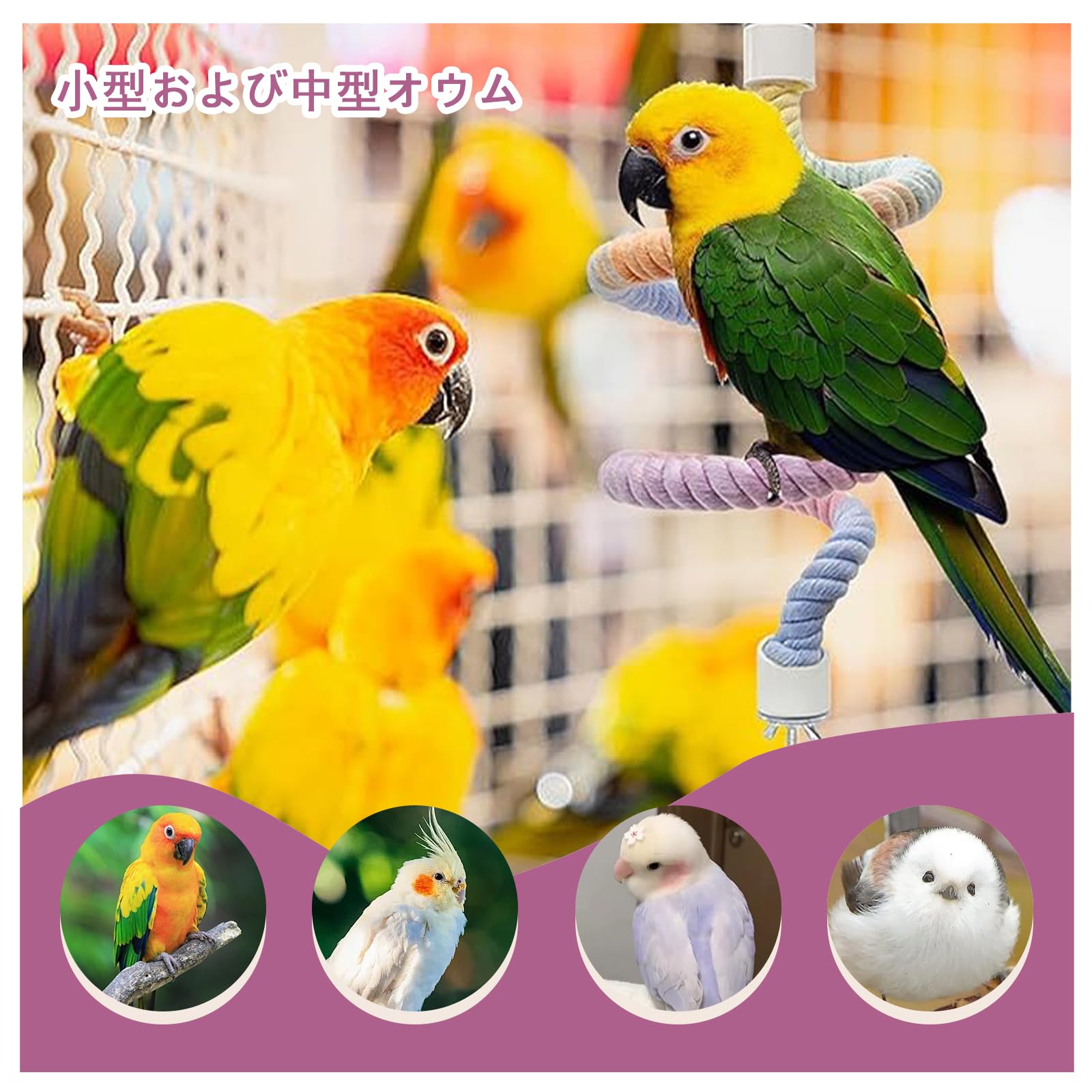 Amazon | 鳥かご用ロープ止まり木 2 本セット【40cm・80cm 各 1 本】麻