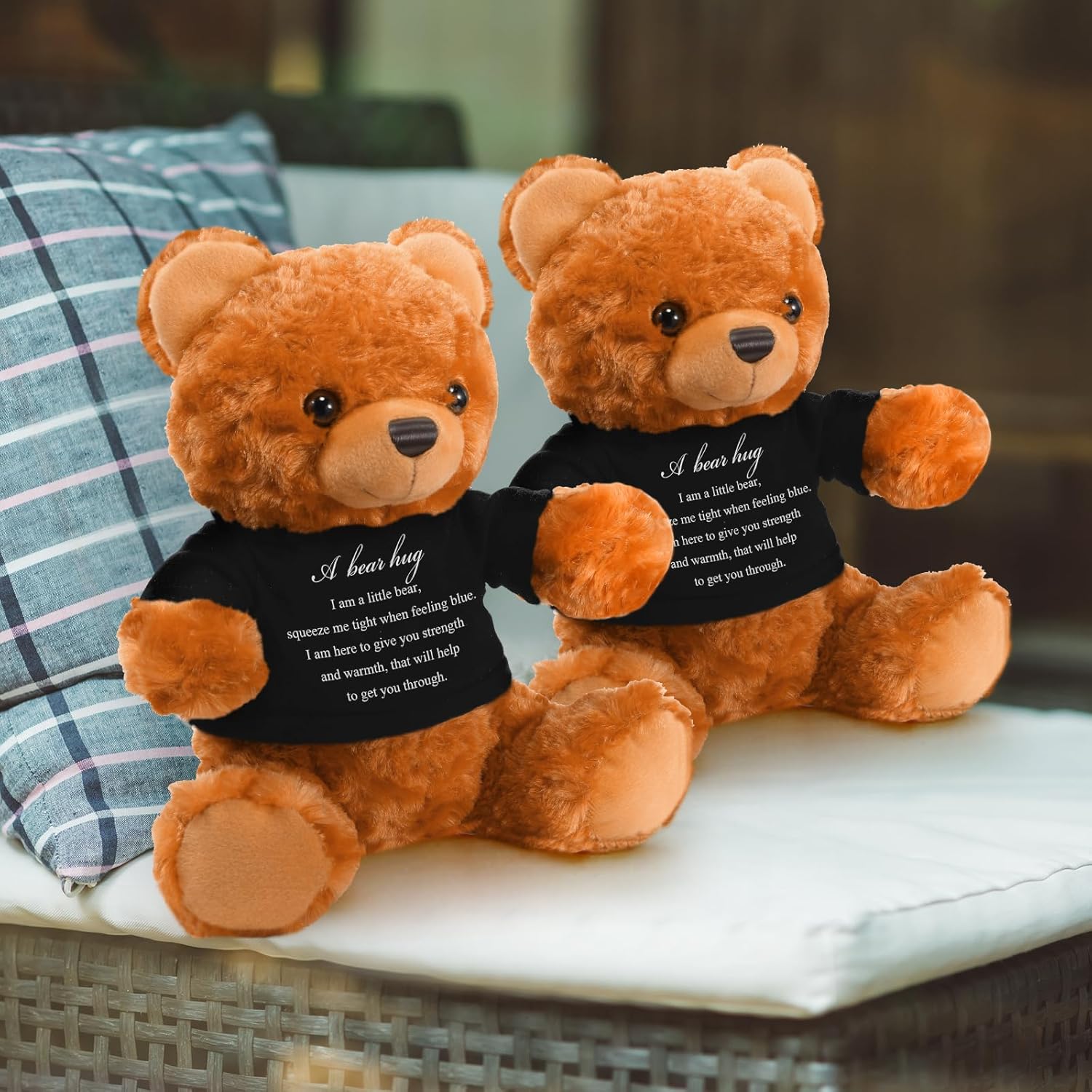 Meooeck 2 Pcs Bear Plush Stuffed Animal Sympathy Gifts Memory Bear with Hug Sign Funeral Gift for Kids Bereavement Comfort Child Loss of Loved One(Brown, Black)