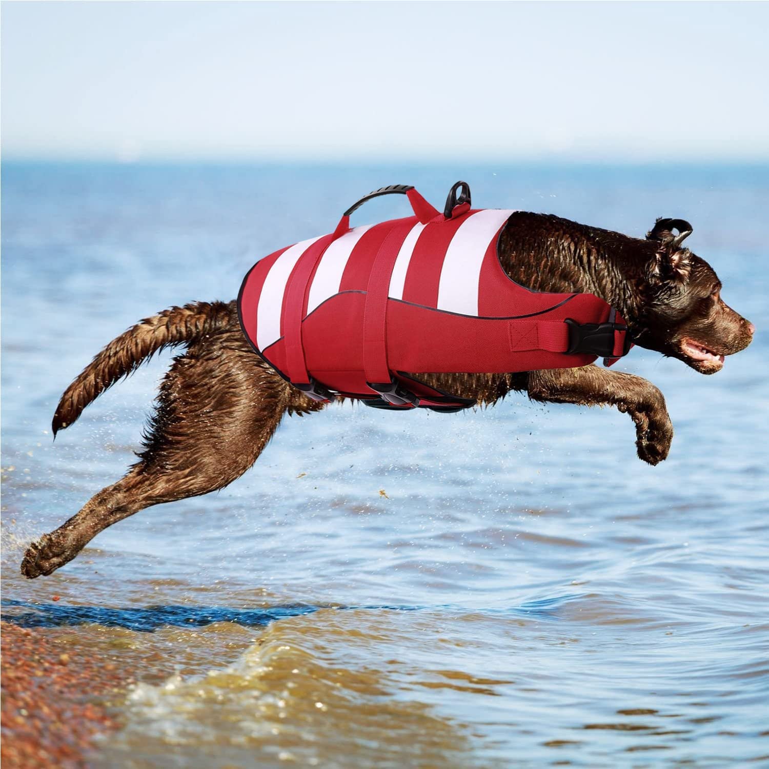 Gilets de Sauvetage pour Chiens Gilet de Flottaison Animaux Réglable,Gilets de Flottaison pour Animal de Compagnie avec Souple Poignée Pet Life Jacket(Rouge,L)