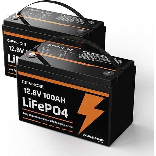 12V 100Ah LiFePO4 Lithium Battery Group 31 Built-in 100A BMS, 1280Wh up to 15000 Deep Cycles Rechargeable Battery for RV, Marine, Van, Backup - 2 Pack