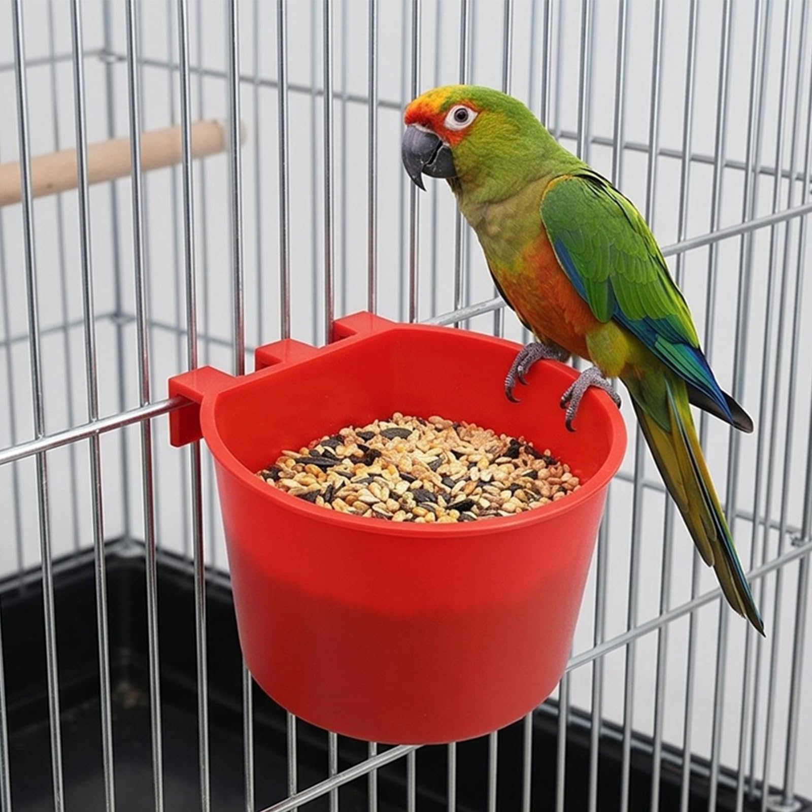 50 mangiatoie per gabbie per uccelli in ABS rosso per pappagalli, piccioni, polli e piccoli animali domestici, mangiatoia per conuri per gabbie