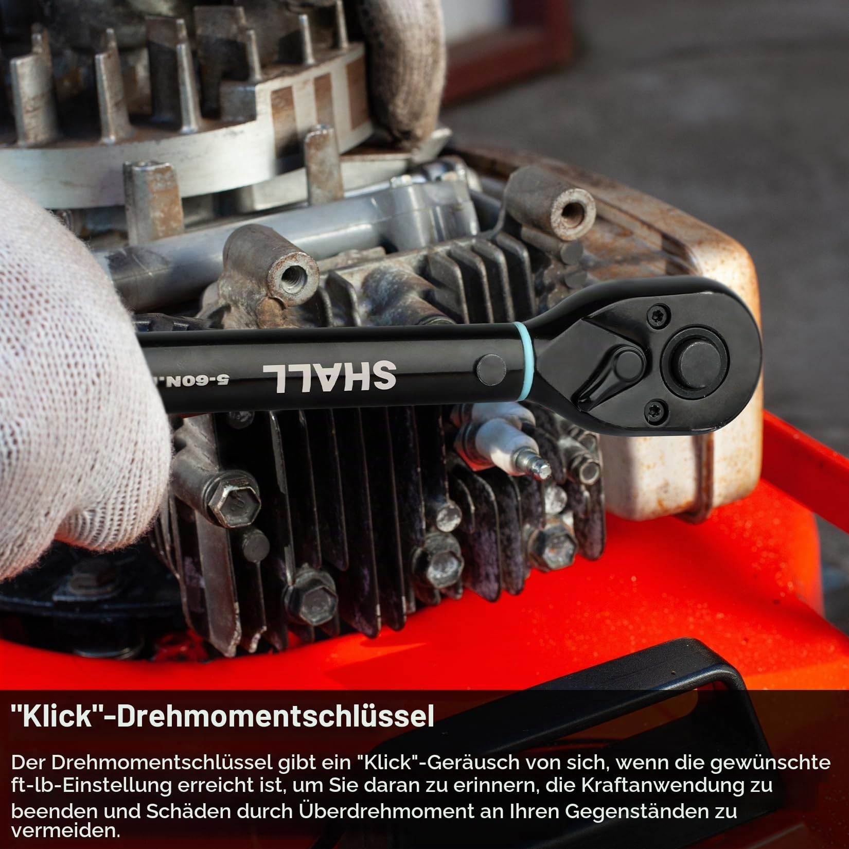 Shall 11-teiliger 3/8-Zoll-Drehmomentschlüsselsatz (5–60 Nm), in zwei Richtungen verstellbar, 72 Zähne, geeignet für die Wartung von Autos und Motorrädern