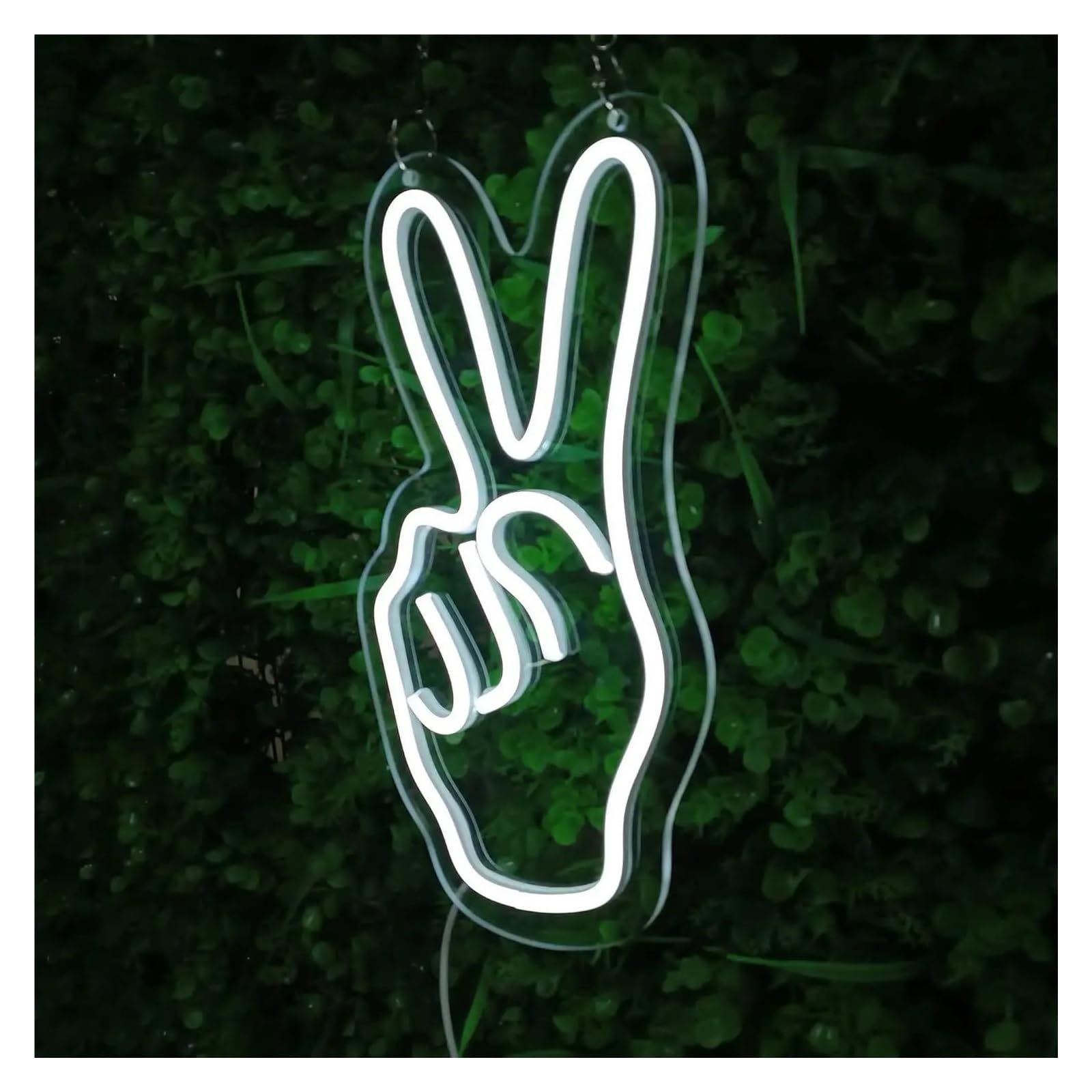 LEMST Sign Lamp Victory Gesture Neon, Novel White Neon Wall Lights, Suitable for Family Parties and Holiday Decorations 18.5x34cm