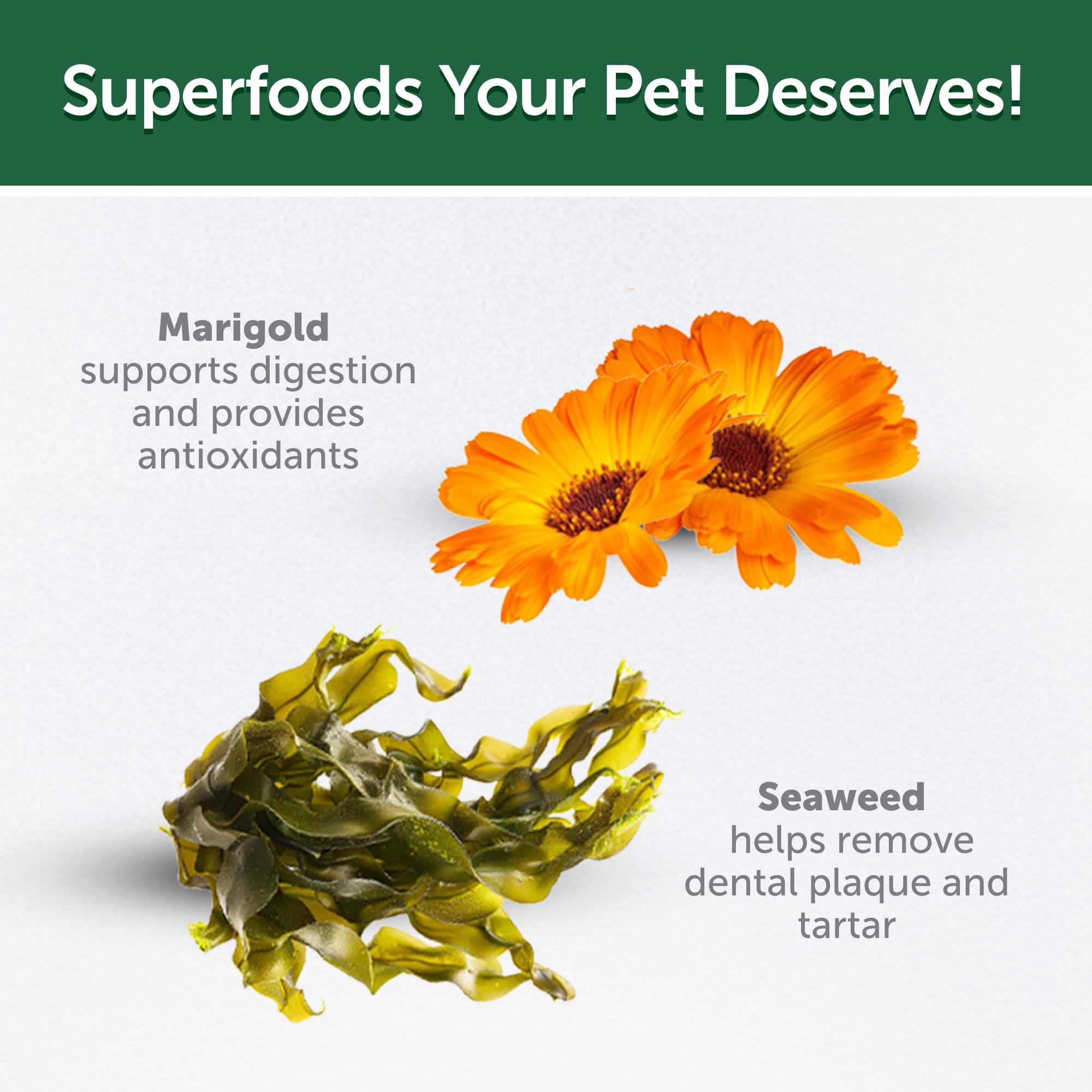 Nature's Protection Cat Dental Treats - Crunchy Oral Care Chews for Cat Teeth Cleaning for Adult Cats - No Bad Breath, Less Hairball (Superior Care - Poultry, 2.64 oz) - image 8