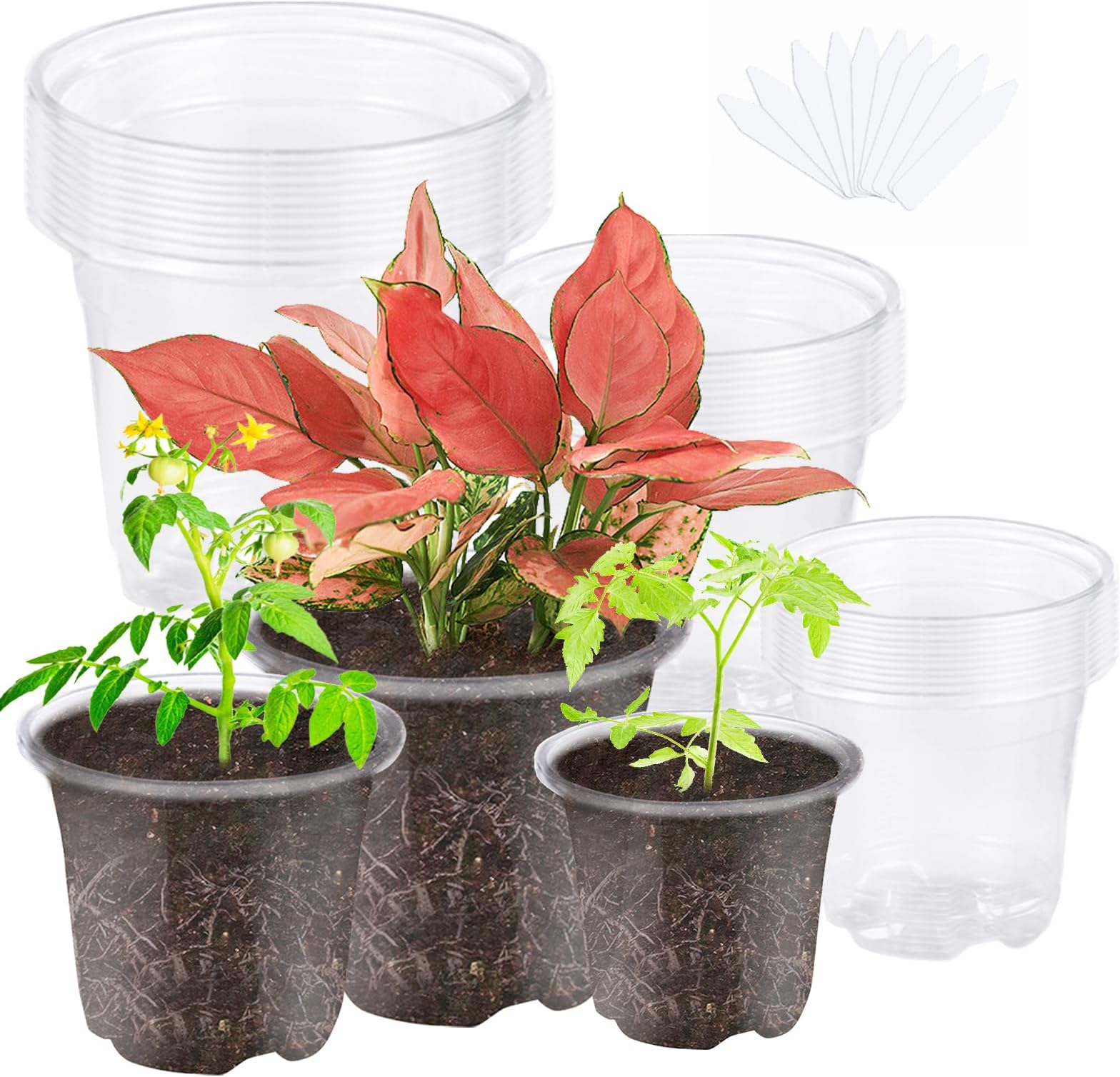 JOPY30 Pack 3.5/4/5 Inch Plastic Nursery Pots for Plants Clear Seed Starter Pots Seedlings Planting Pots Small Planter Containers with Drainage Holes (Transparent-no lid)