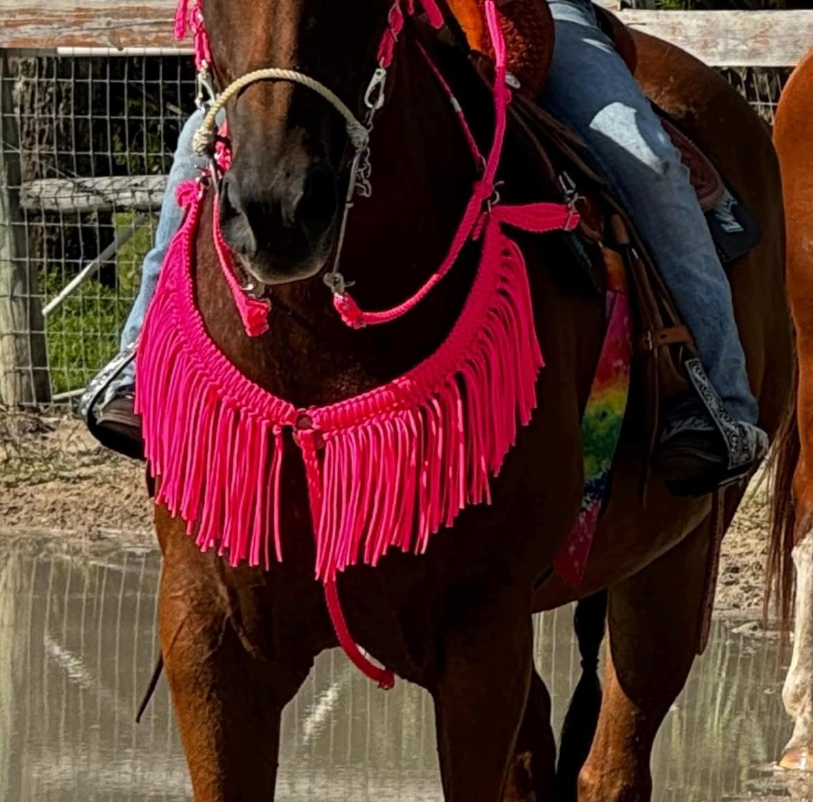 fringe breast collar paracord horse tack hot pink