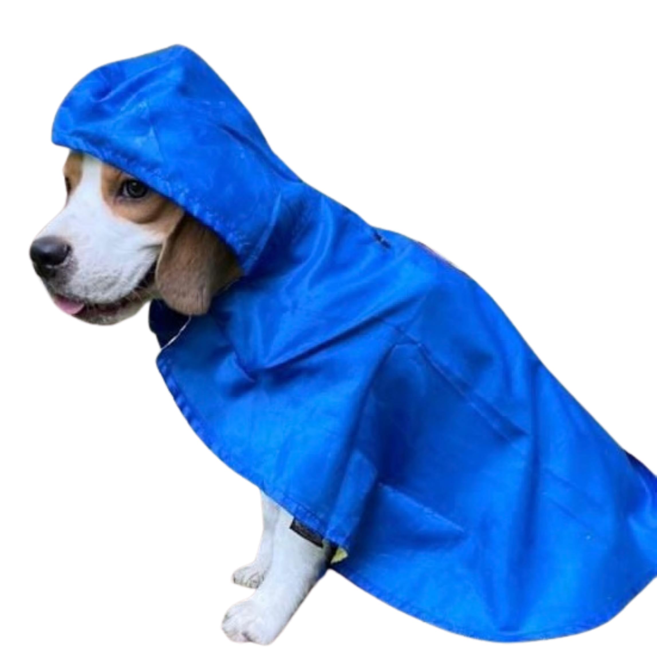 See full amazon price history chart for Kitty & The Woof Gang Blue Dual layered Raincoat to protect your pet from Rains and morning dew. The hood keeps the head dry. For Dog and Cat - XXL-22 Inch – This Size fits best on Boxer, Pitbull, Husky, American Bully, Doberman, Dalmatian, Weimara Kitty & The Woof Gang Blue Dual layered Raincoat to protect your pet from Rains and morning dew. The hood keeps the head dry. For Dog and Cat - XXL-22 Inch – This Size fits best on Boxer, Pitbull, Husky, American Bully, Doberman, Dalmatian, Weimara (B07SRM6BL9) Amazon Price History, Amazon Price Tracker