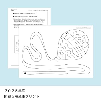 そっくり問題集 13 東京都立立川国際中等教育学校附属小学校