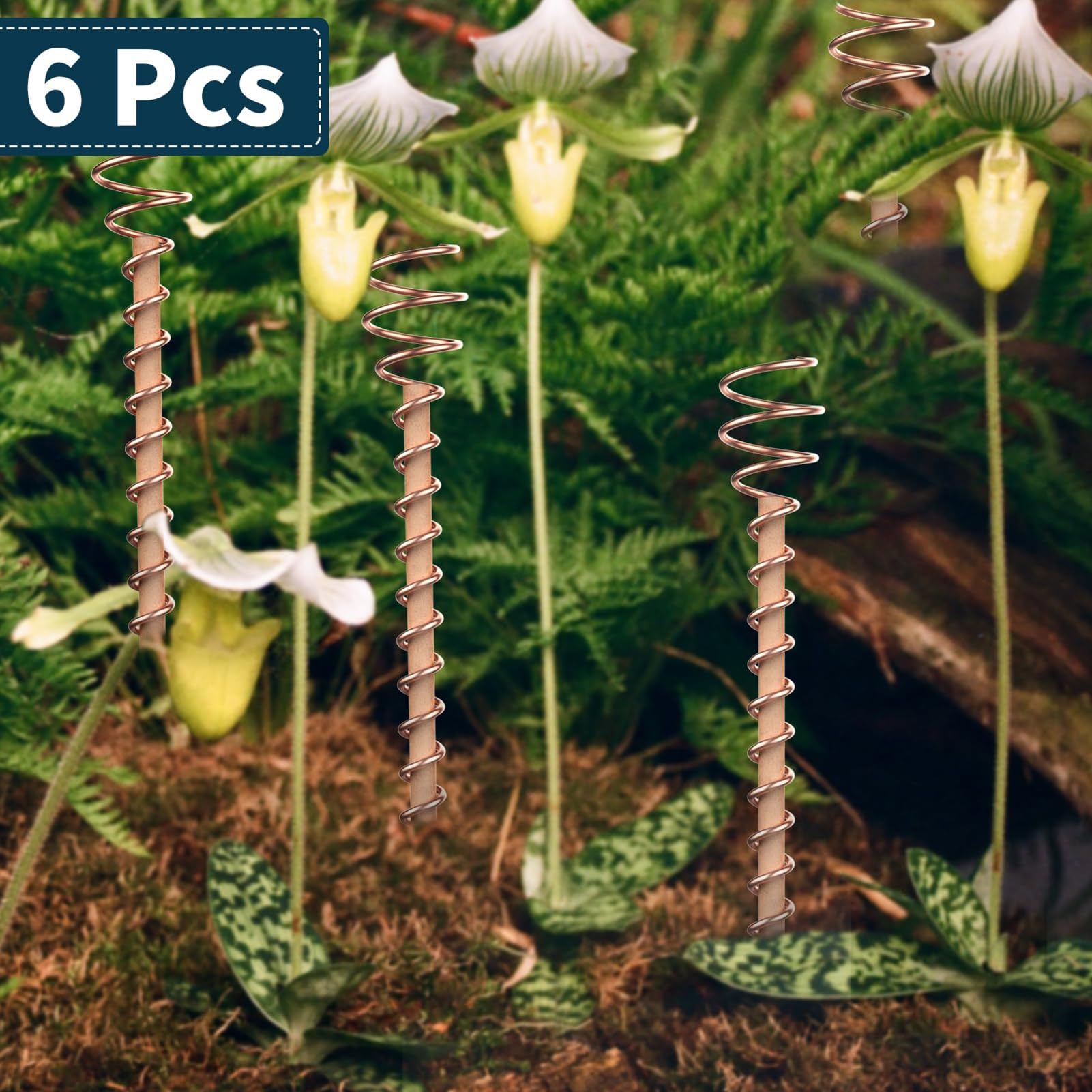 6 Pali Per Piante In Rame - Elettrocoltura Per Orto E Giardino - Antenne A Spirale - 3