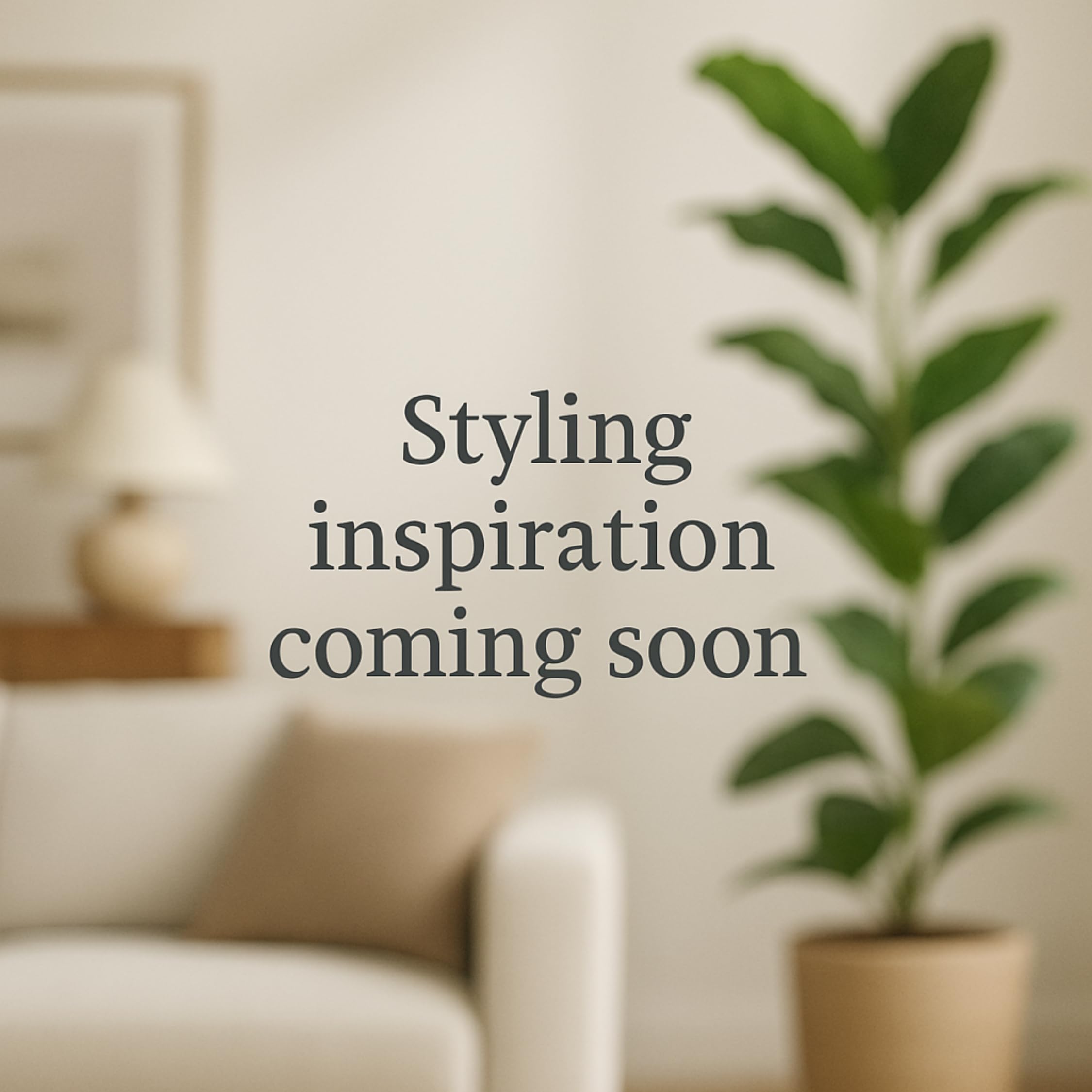 Camellia Japonica - Mix Di 3 Rose Giapponesi In Vaso 9cm - Altezza 25-40cm - Foto 5