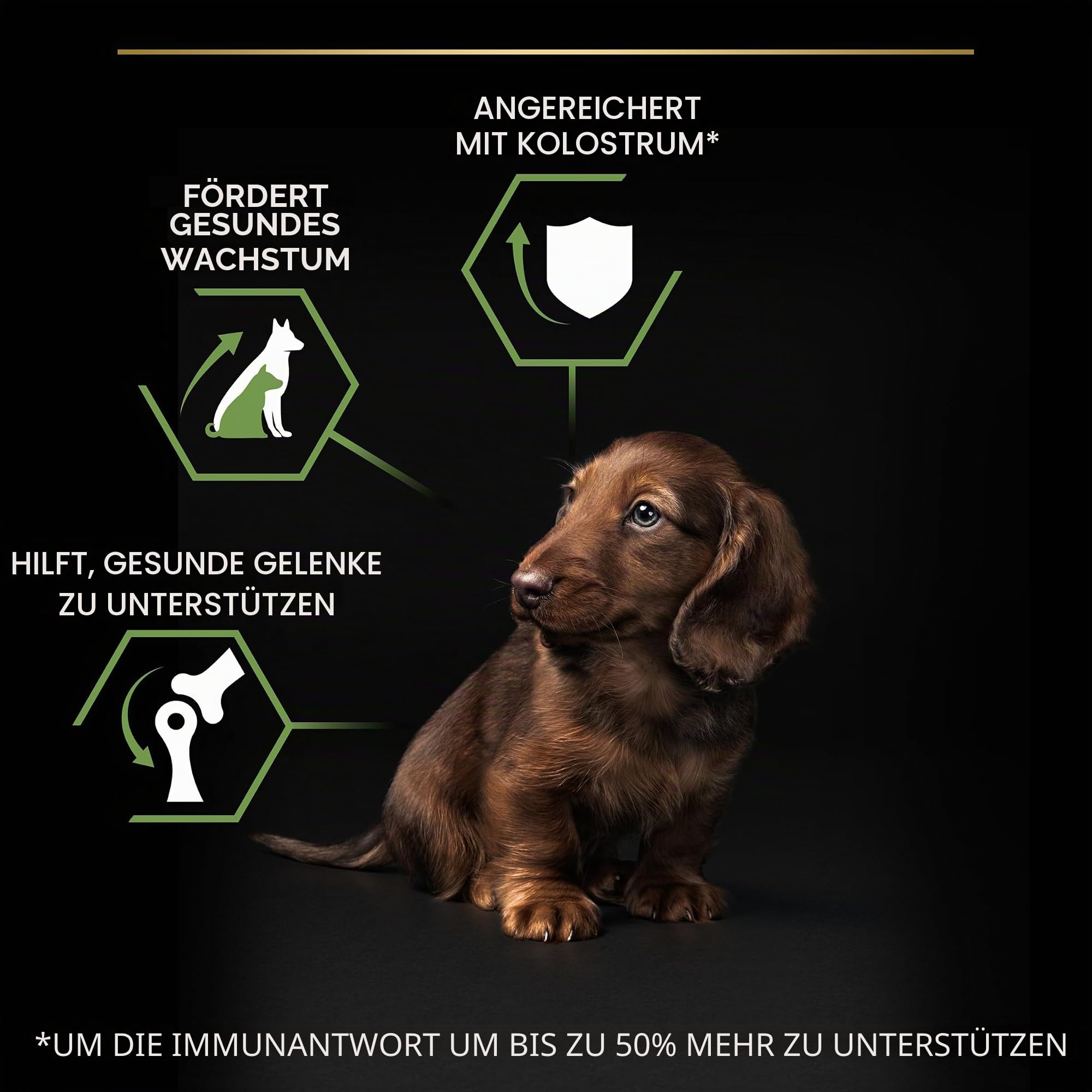 Pro Plan® Small & Mini Puppy Healthy Start Trockenfutter für Hunde mit Huhn, 7 kg