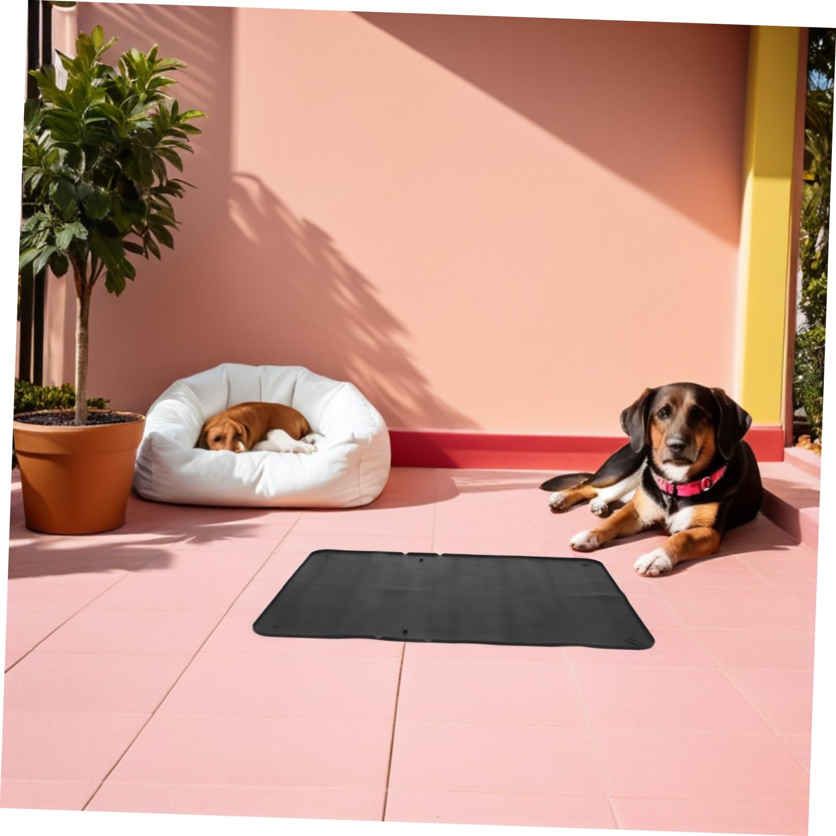 Generico Porta Traversine per Cani in Silicone Nero con Bordi Impermeabili, Tappetino Igienico Riutilizzabile per Addestramento Toilette in Area Animali Domestici
