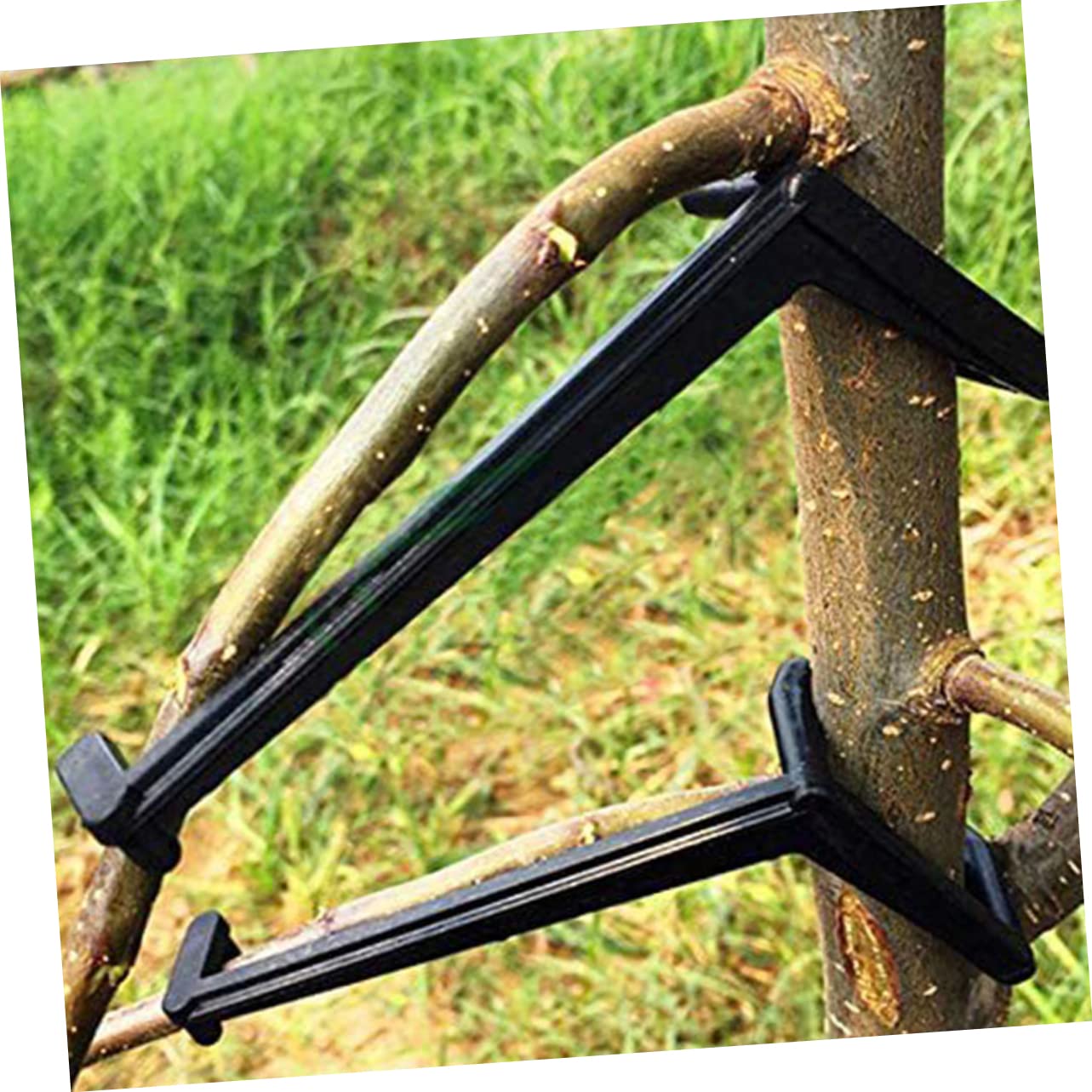 Toddmomy 5 Sätze Filialpresse Zweig Pflanzenbieger Biegeklammern Für Pflanzen Geäst Pflanzenclips Bonsai-stammbieger Astbefestigungsklammern Äste Biegen Clips Sport Schwarz 10 Stück * 5