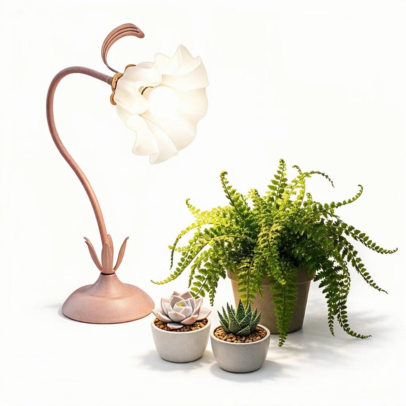 Amazon.com: Table Top Grow Light for Indoor Plants  Decorative Desk Plant  Light for Succulents Bonsai Cactus, Adjustable Desktop Grow Lights with  Base, Cute Office Mini Grow Lamp : Patio, Lawn &