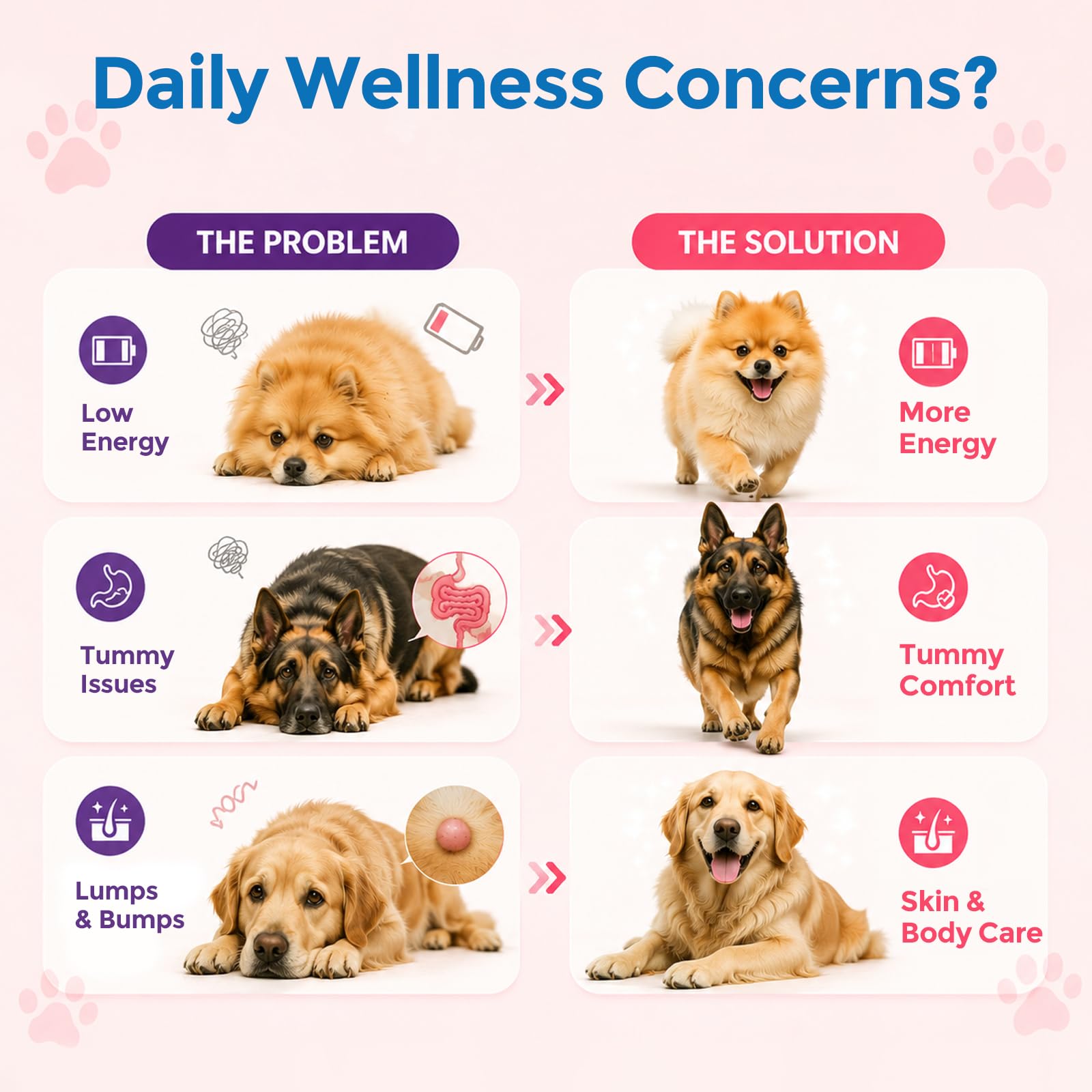 Turkey Tail Mushroom for Dogs & Cats, 14-in-1 Powder, Lumps & Bumps, 180g — Amazon image 3