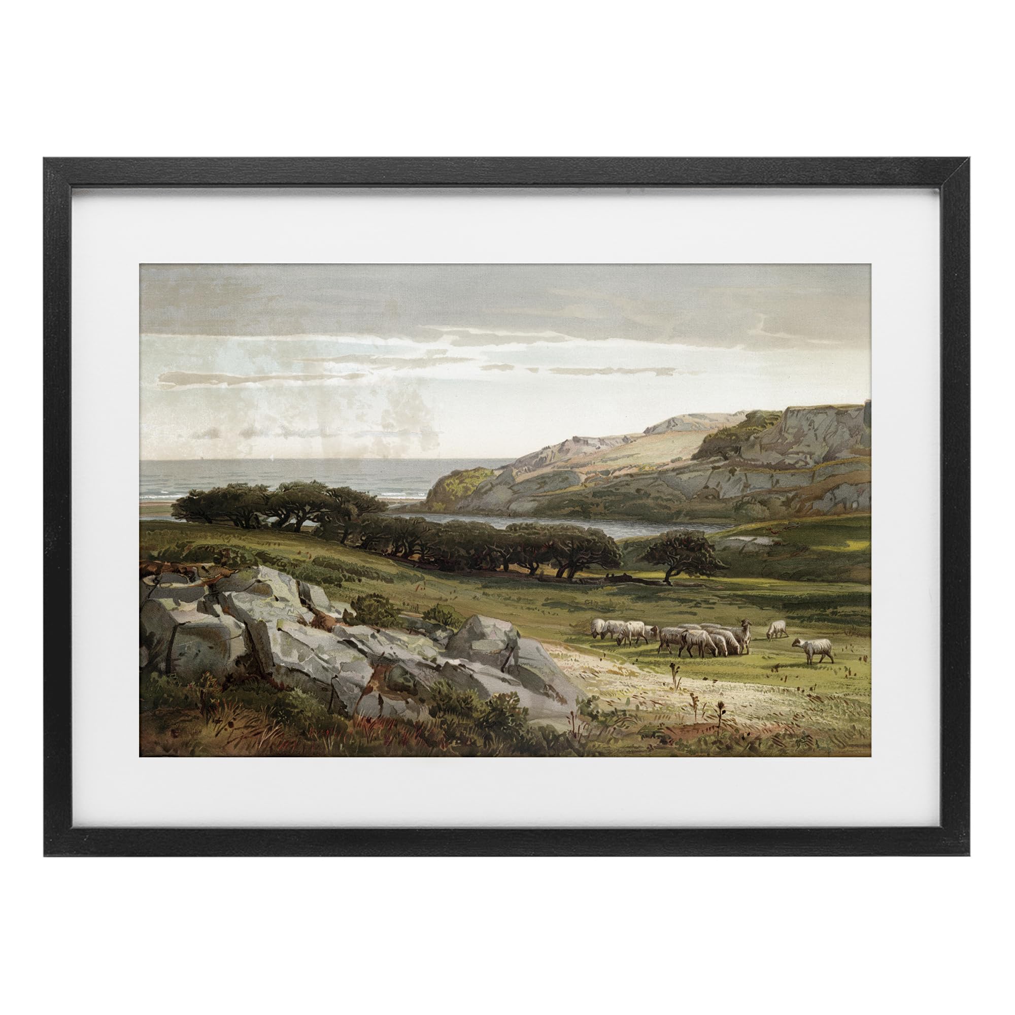 Stupell Industries Midnight Black (Textured) Sheep Landscape Pastoral, 17 X 23 Inch Framed Print Under Glass