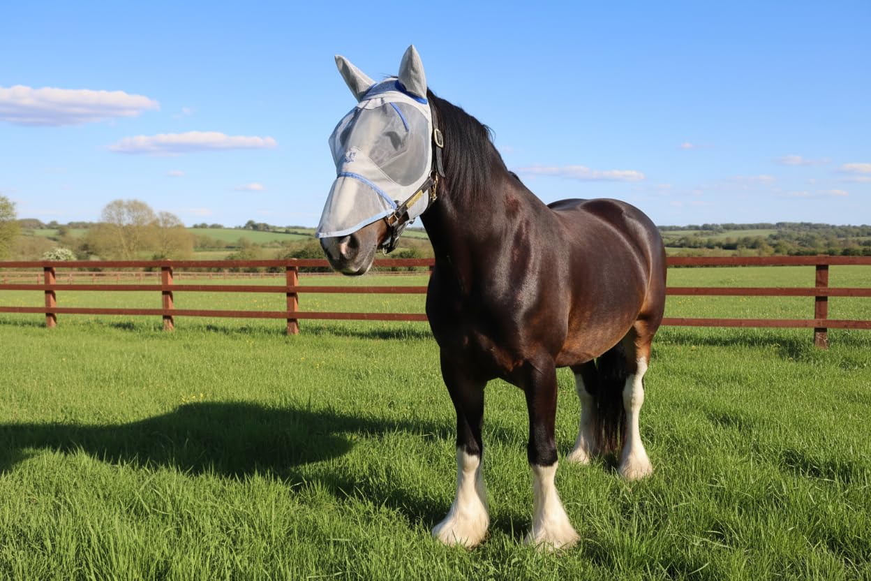 Ruggles Masque anti-mouches pour chevaux lourds – Shires Clydesdale Percheron, etc. | Disponible avec ou sans protège-nez | Excellente protection contre les mouches et les insectes (X plein avec nez)