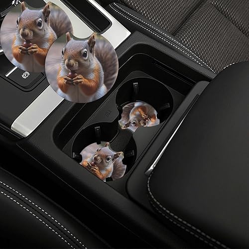 Portavasos para automóvil, paquete de 2 posavasos absorbentes de ardilla para automóvil, almohadillas antideslizantes para portavasos de bebidas,