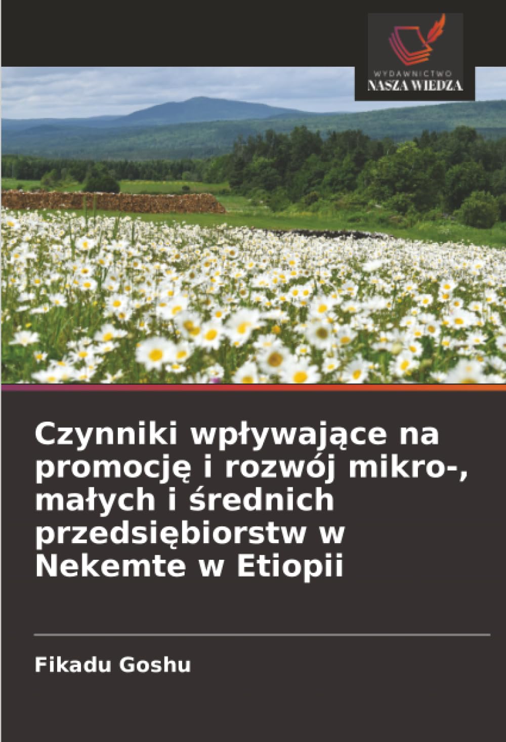 Czynniki wpływające na promocję i rozwój mikro-, małych i średnich przedsiębiorstw w Nekemte w Etiopii