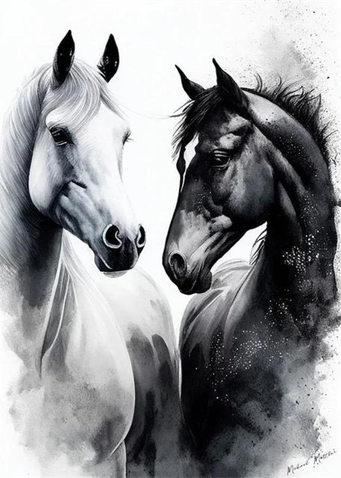 SHINERING Abstract Watercolor Horse Animal Canvas Painting Posters Print Wall Art Picture Living Room Decor A13 50X70Cm Unframed