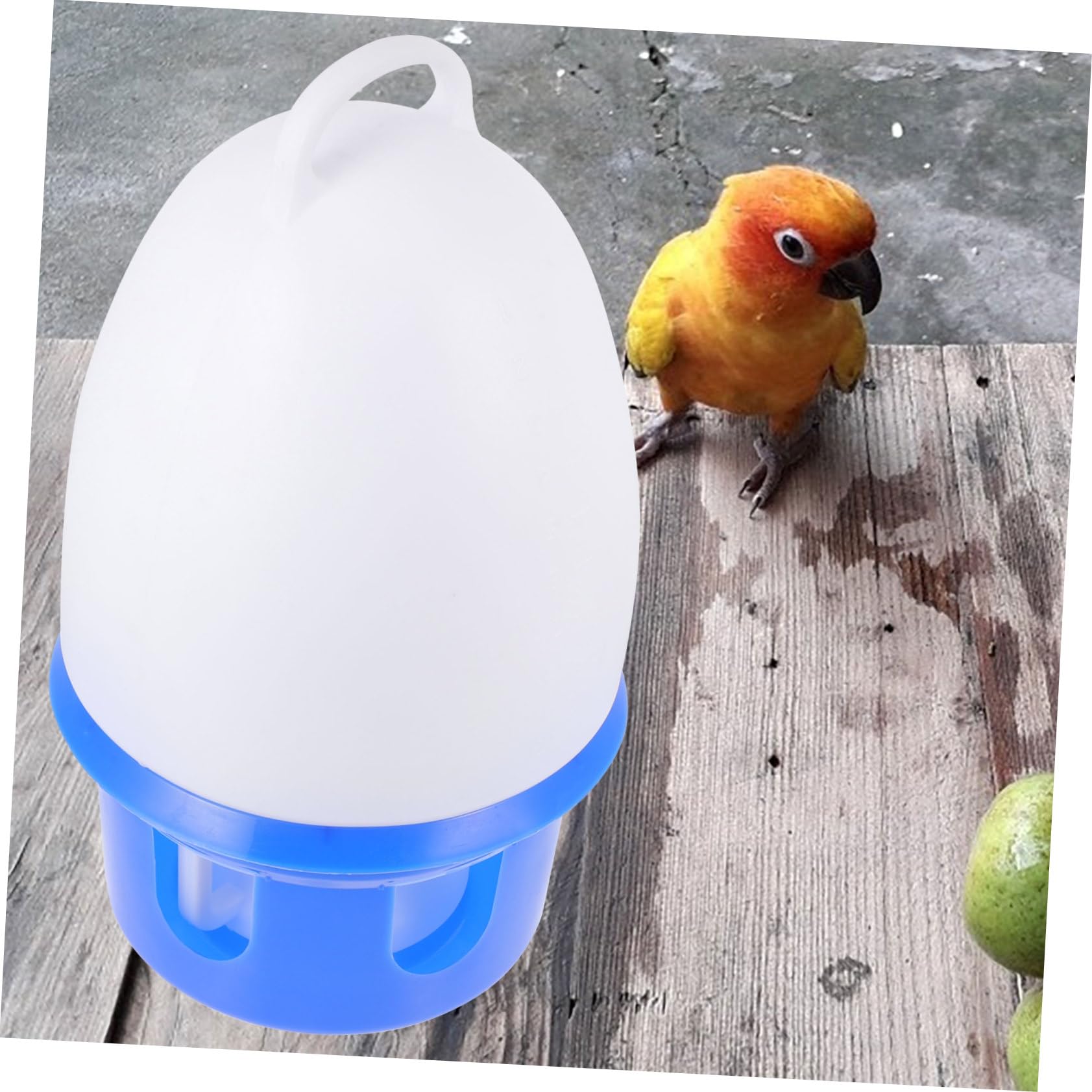 Bebedero de Agua para Palomas Automático, Azul, PVC, Redondo | Asa, Gran Capacidad, Desmontable, Apto para Palomas y Loros, Uso Doméstico