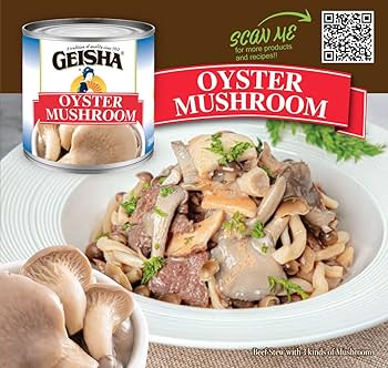 mushroomページ Amazon.com : GEISHA Oyster Mushroom 4OZ. (Pack of 12