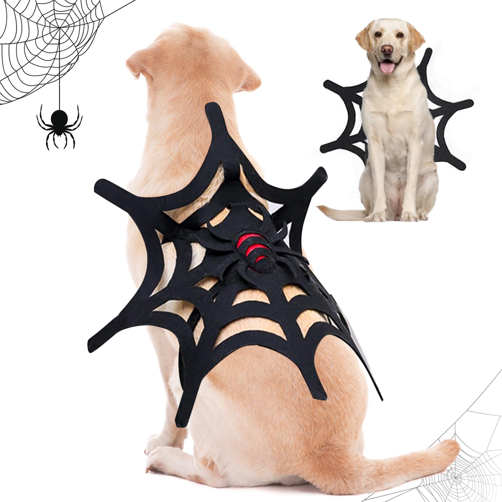 Ambreview Dog Spider Costume - Halloween Pet Costume Spider Wings for Dog Cat, Spiderman Cosplay Costumes for Small Medium Large Dogs (Medium)