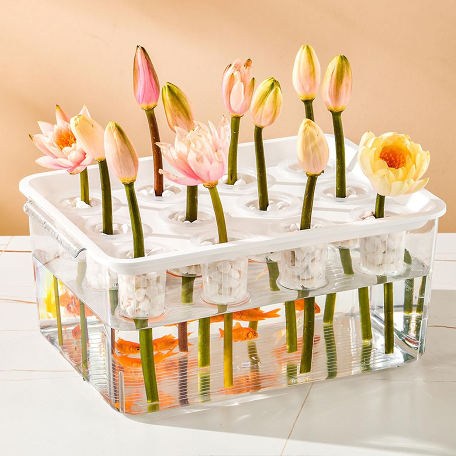 Modern Hydroponic Growing Setup Container Featuring Viewing Window for Home Vegetables Plant Progress Plant Growing Greenhouse Container