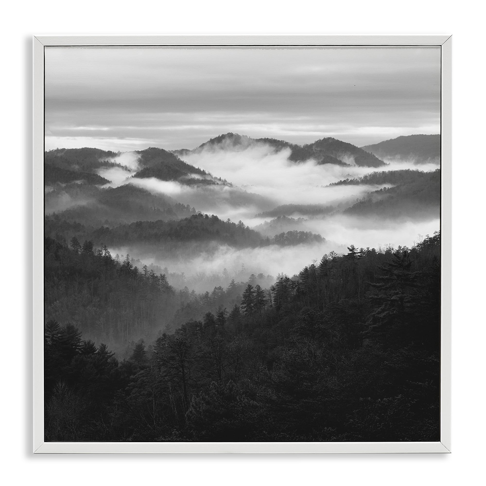Stupell Industries Coastal White (Textured) 'Smoky Mountains Forest'| Framed Giclee Art