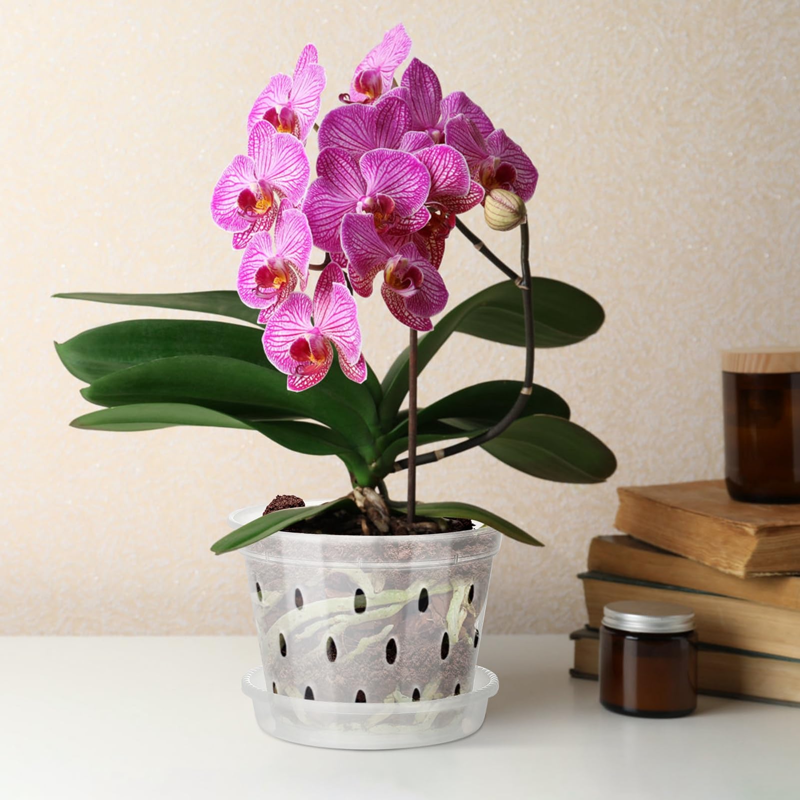 5er-Pack Orchideentpfe, Transparentes Orchideentopf-Set, Atmungsaktiver,  Geschlitzter Orchideen-Pflanztopf aus Kunststoff, Atmungsaktiver  Blumentopf, ...