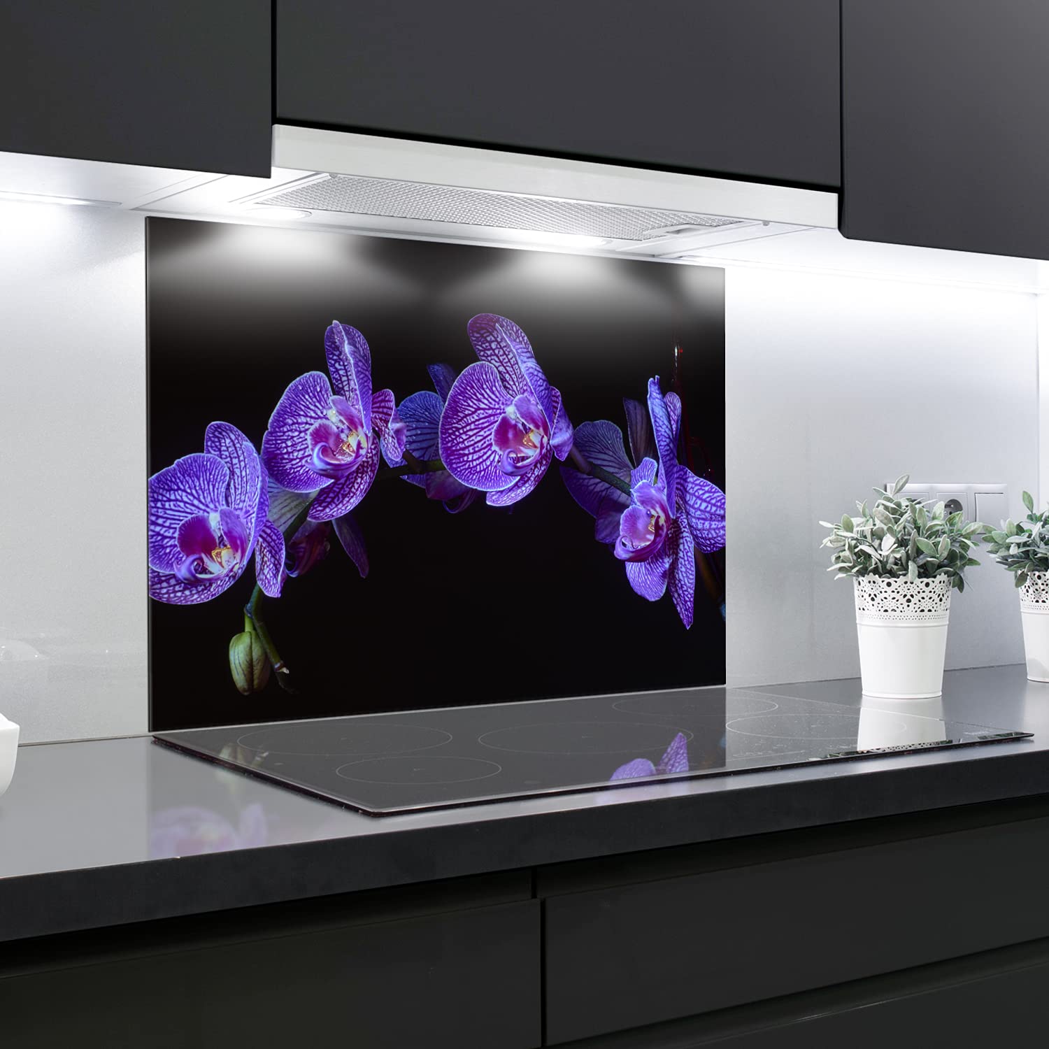 Crédence En Verre Trempé Résistant à La Chaleur - Décoration - 90 X 65