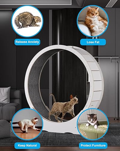 Miniatura 3 de Ejercitador de ruedas para gatos de interior con pasador de bloqueo. Rueda de ejercicio para gatos de gran diámetro hecha de madera maciza natural.