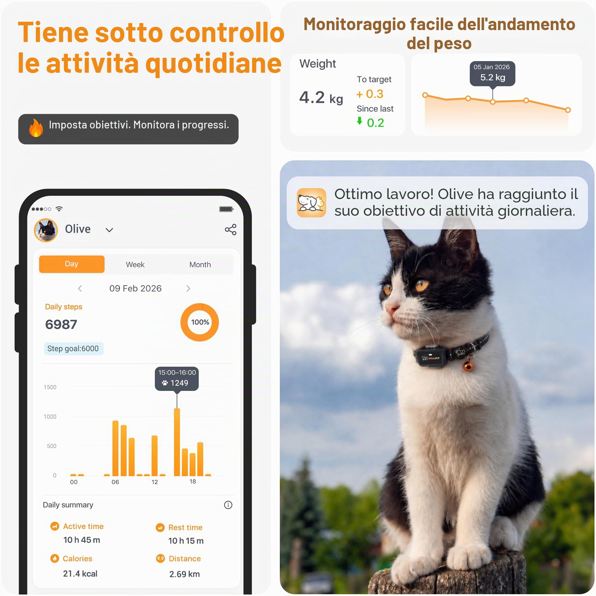 Pawfit Localizzatore GPS Lite per Gatti 4G | Monitoraggio in tempo reale | Cronologia posizioni | Portata illimitata | Collare sicurezza incluso | Grigio lilla