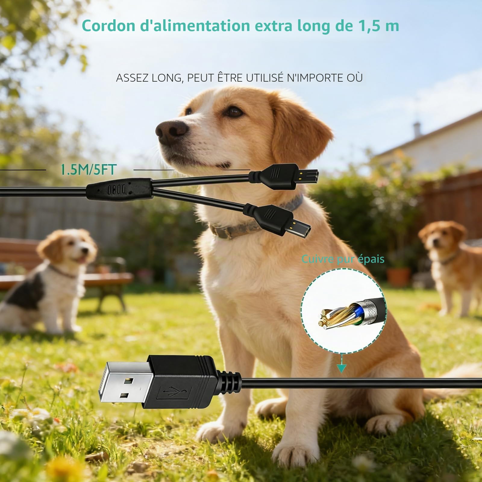 Lnauy Câble d'alimentation de rechange pour collier Petsafe, Chargeur Collier Chien, câble d'alimentation compatible avec PetSafe Remote Trainer et Lite Remote Trainer 100/300/600 et 800 m
