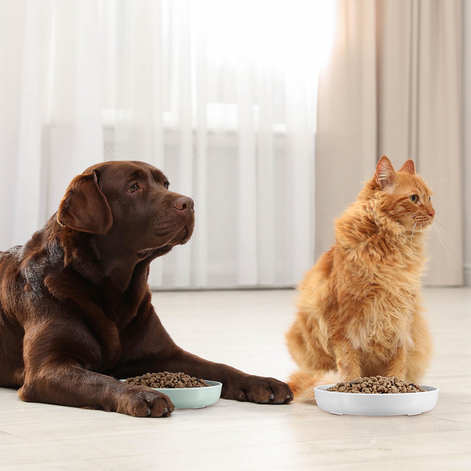 Nitial Mangiatoia per gatti, 2 ciotole per animali domestici, design a piscina per pesci, dieta sana e interattiva, lavabile in lavastoviglie, melammina, verde e bianco