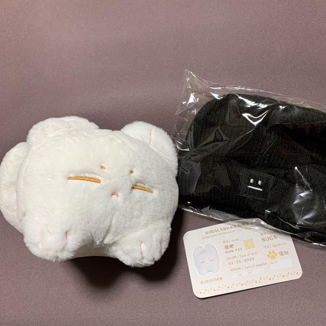 bts マスター　ぬいぐるみ　ユンギ　ユンボ bts マスター ぬいぐるみ ユンギ キキちゃん - メルカリ