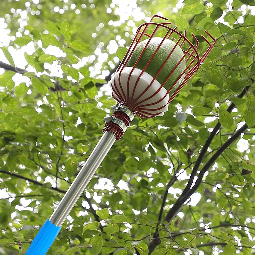 Raccogli Frutta Telescopico, Raccogli Ciliegie da Albero, Raccoglifrutta per Albicocche, Raccoglitori con Asta Regolabile 1.6 / 2.4 / 3.6m Harvesters Metallo Attrezzo per Mele Pere Limone (Ø 145mm)