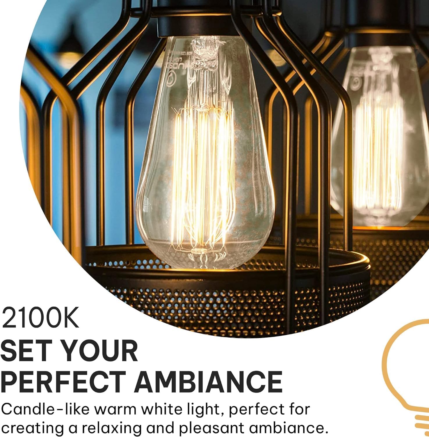 Hudson Bulb Co. Vintage Incandescent Edison Light Bulbs, 60W, E26/E27 Base, 2100K Dimmable Decorative Lights, ST58 Style Warm Glow, Antique Squirrel Filament for Indoor and Outdoor Use - 12 Pack