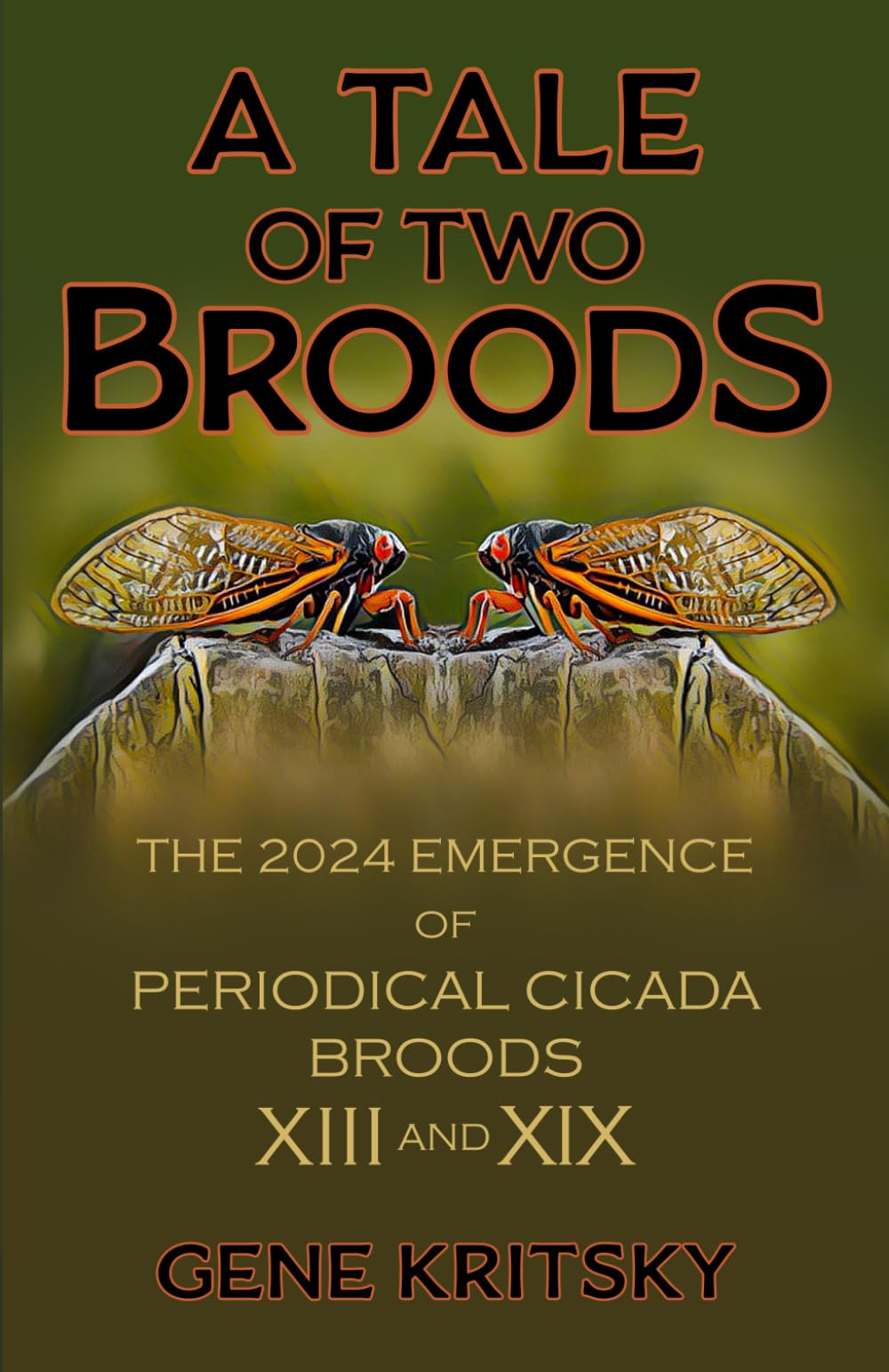 A Tale of Two Broods: The 2024 Emergence of Periodical Cicada Broods XIII and XIX