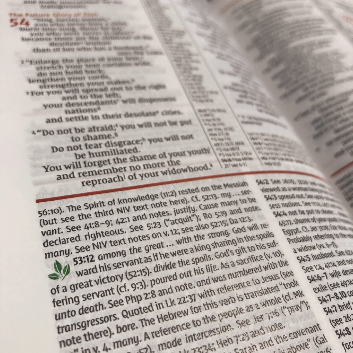 Holy Bible: New International Version, Study Bible
