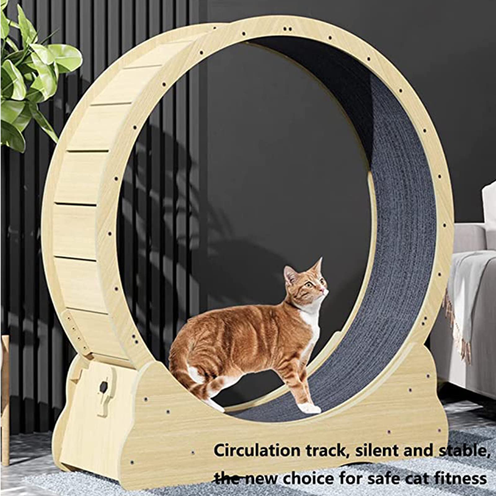 Amazon.co.jp: 猫のトレッドミル、木製の猫のトレッドミル/猫の