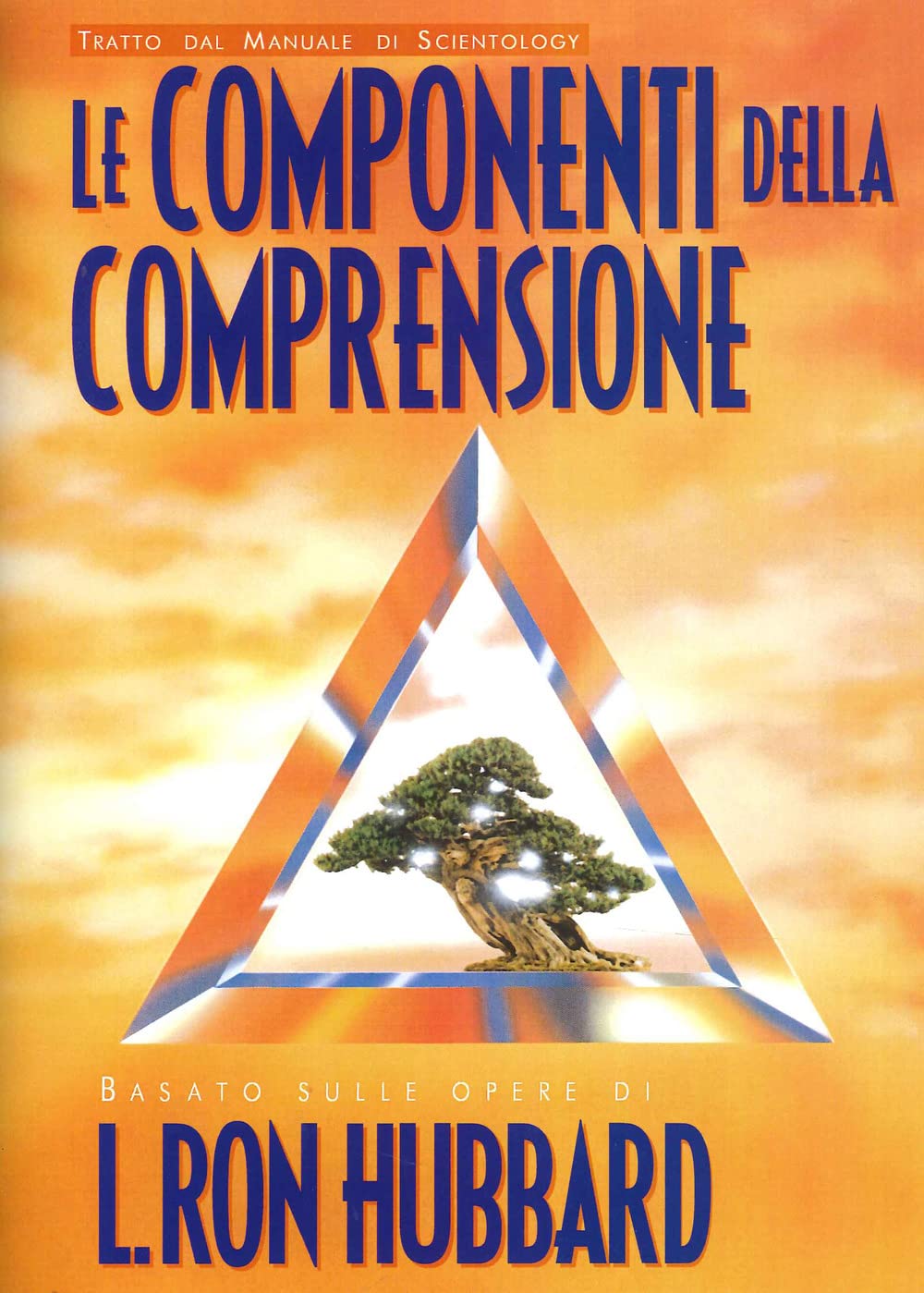 Le Componenti Della Comprensione - 4