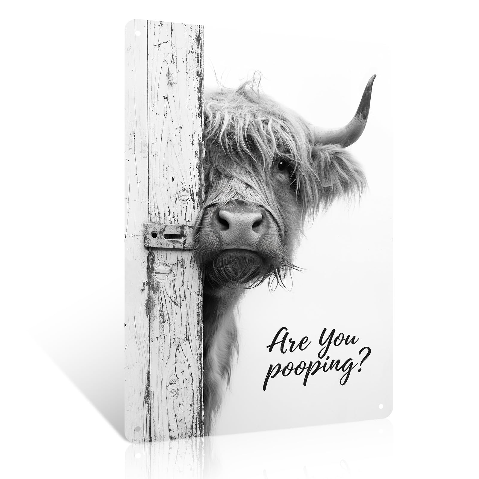 Highland Cow Metal Sign 8x12 inch Are You Pooping Funny Quote Vintage Tin Sign Wall Art Decor For Bathroom Toilet Farmhouse Cow Lovers Gifts